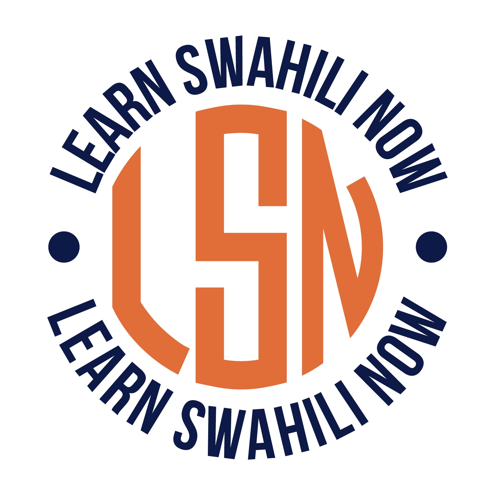 LSN LOGO